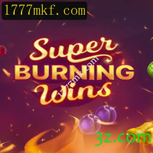 Explorando SuperBurningWins: Um Guia Completo para Jogadores